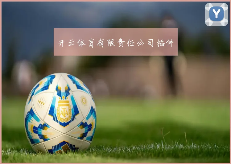 开云体育有限责任公司插件