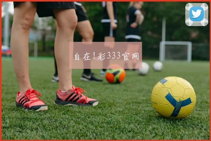 自在!彩333官网