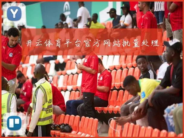 开云体育平台官方网站批量处理