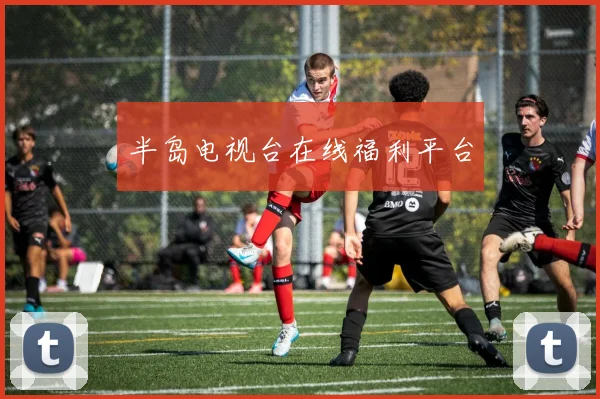 半岛电视台在线福利平台