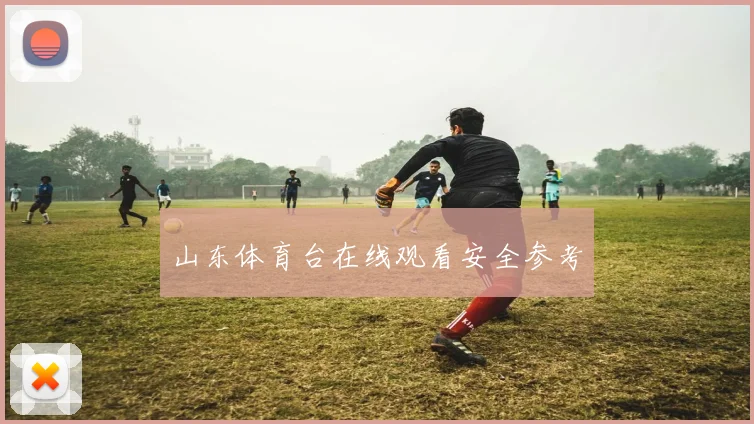 山东体育台在线观看安全参考