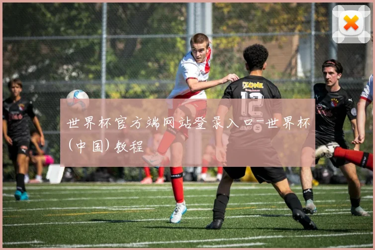 世界杯官方端网站登录入口-世界杯(中国)教程