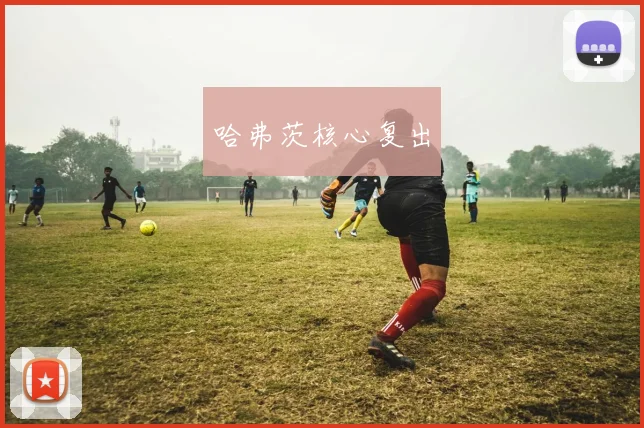 哈弗茨核心复出