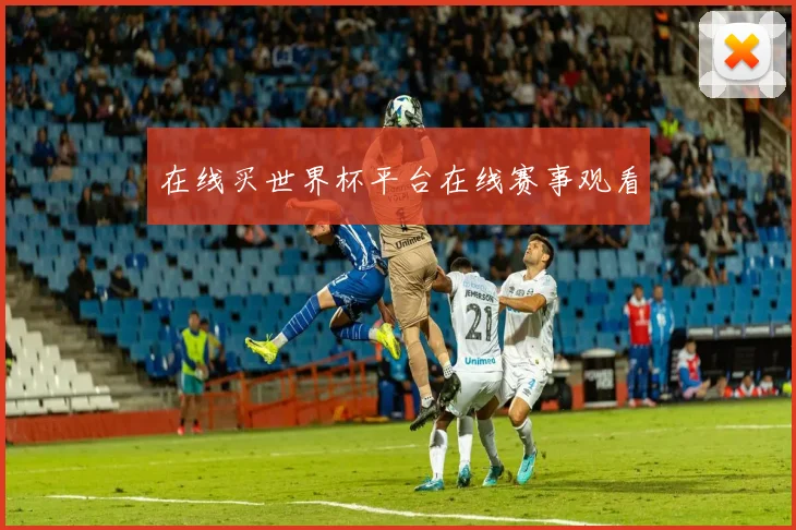 在线买世界杯平台在线赛事观看