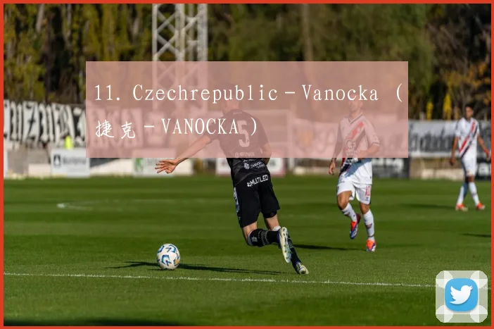 11. Czechrepublic - Vanocka （捷克 - VANOCKA ）