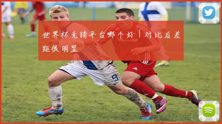 世界杯竞猜平台哪个好|对比后差距很明显