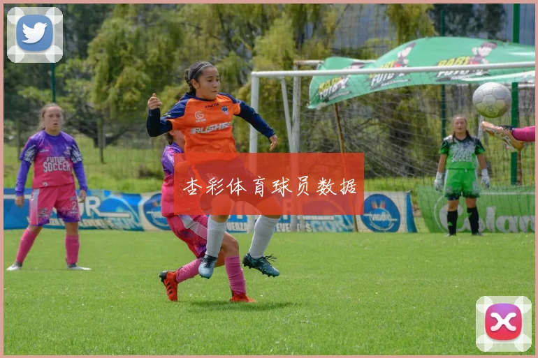 杏彩体育球员数据
