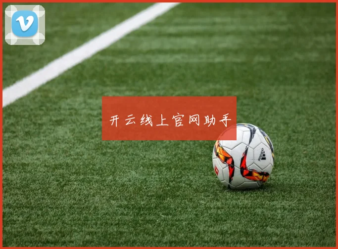 开云线上官网助手