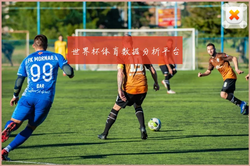 世界杯体育数据分析平台