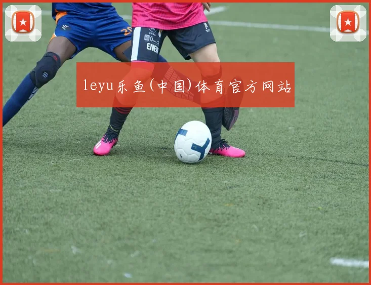 leyu乐鱼(中国)体育官方网站