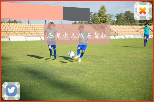 威尔士大战安哥拉