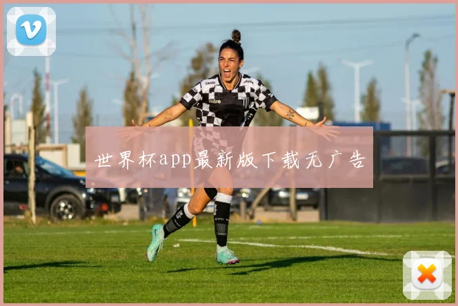 世界杯app最新版下载无广告