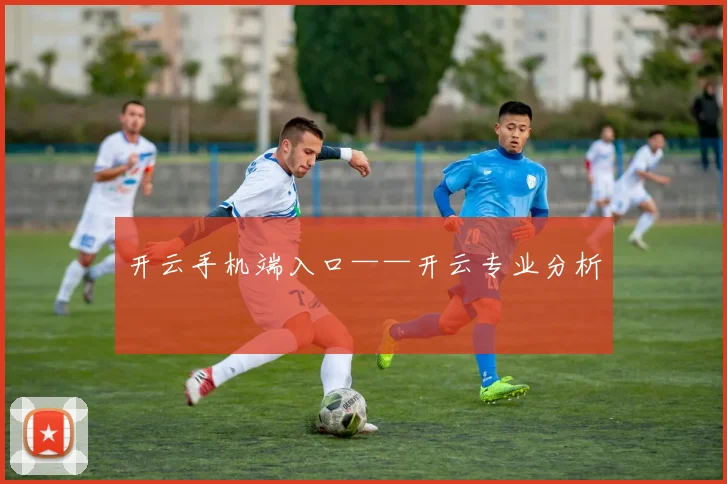 开云手机端入口——开云专业分析