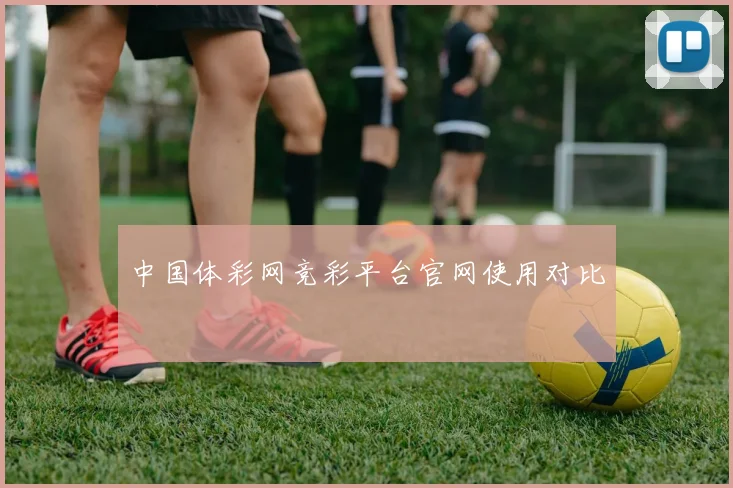 中国体彩网竞彩平台官网使用对比