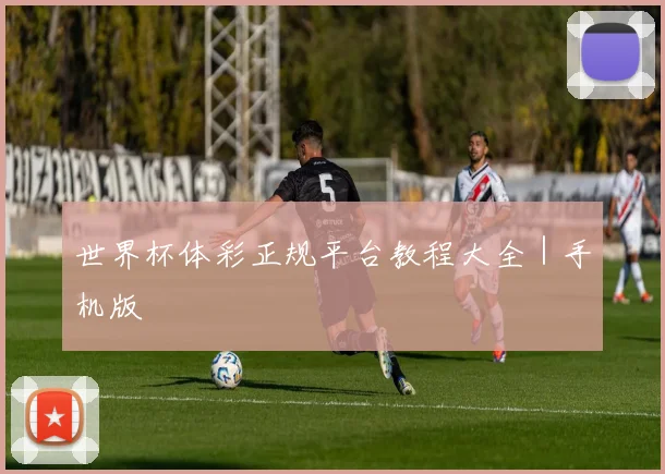 世界杯体彩正规平台教程大全|手机版