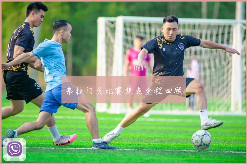 弗拉门戈比赛焦点全程回顾