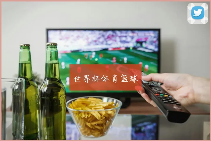 世界杯体育篮球