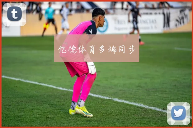 亿德体育多端同步