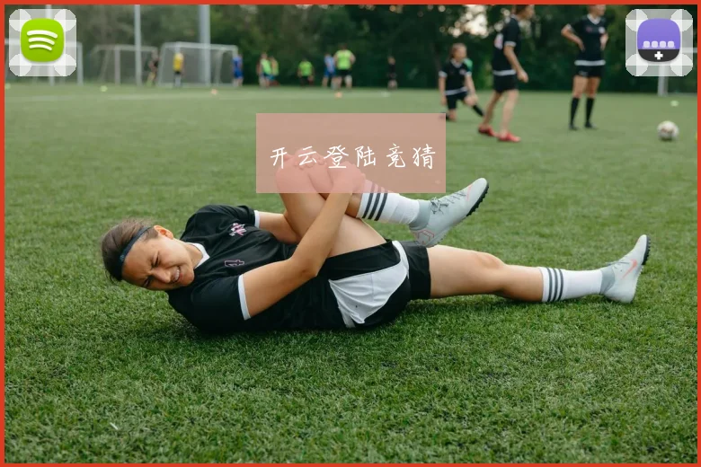开云登陆竞猜