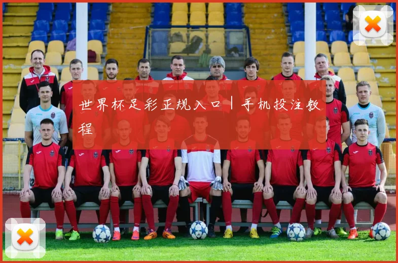 世界杯足彩正规入口｜手机投注教程