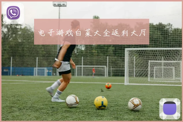 电子游戏白菜大全返利大厅