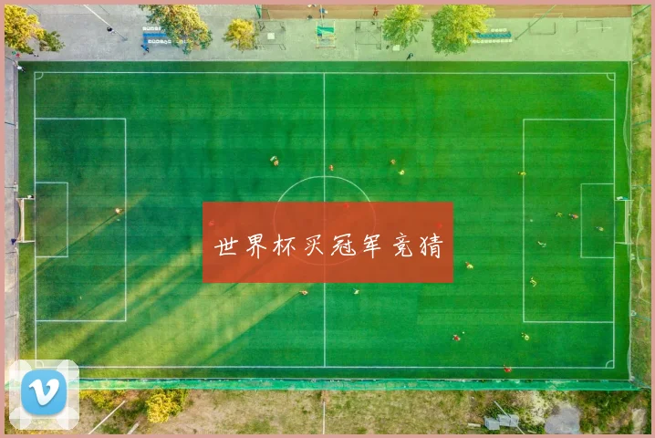 世界杯买冠军竞猜