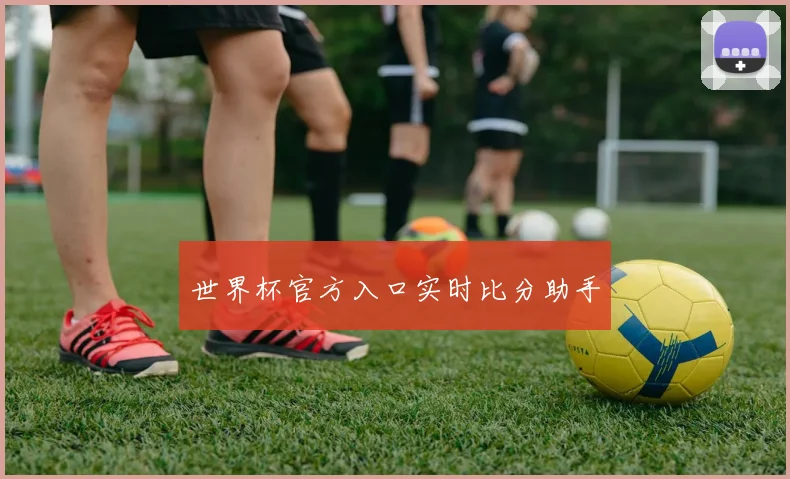 世界杯官方入口实时比分助手