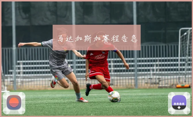 马达加斯加赛程告急