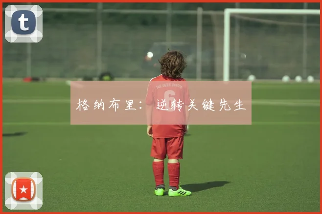 格纳布里:逆转关键先生