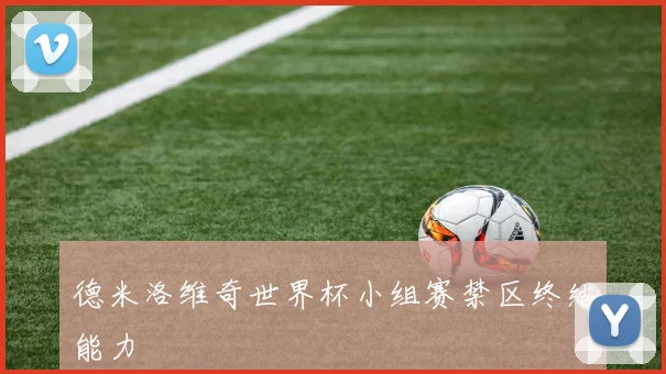 德米洛维奇世界杯小组赛禁区终结能力