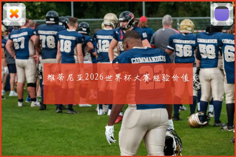维蒂尼亚2026世界杯大赛经验价值