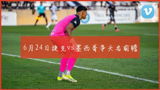 6月24日捷克vs墨西哥争头名前瞻