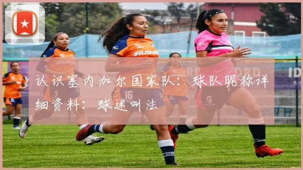 认识塞内加尔国家队：球队昵称详细资料：球迷叫法