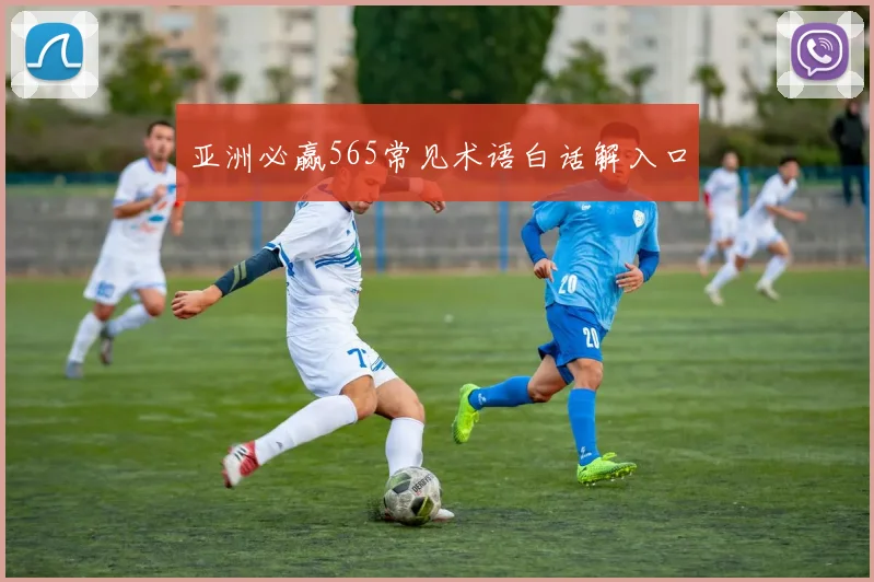 亚洲必赢565常见术语白话解入口
