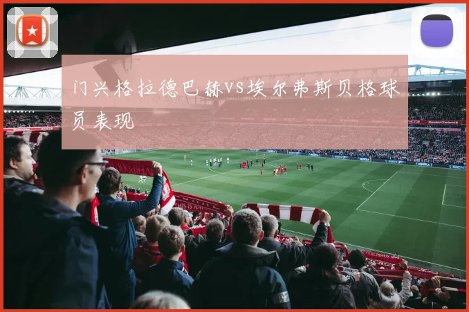 门兴格拉德巴赫vs埃尔弗斯贝格球员表现