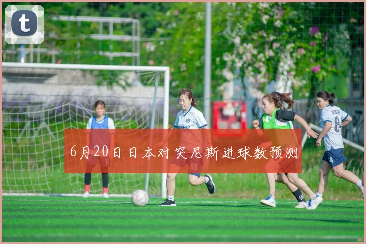 6月20日日本对突尼斯进球数预测
