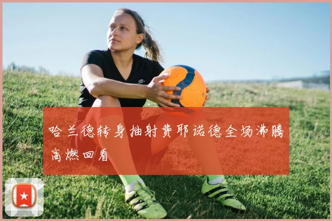 哈兰德转身抽射费耶诺德全场沸腾高燃回看