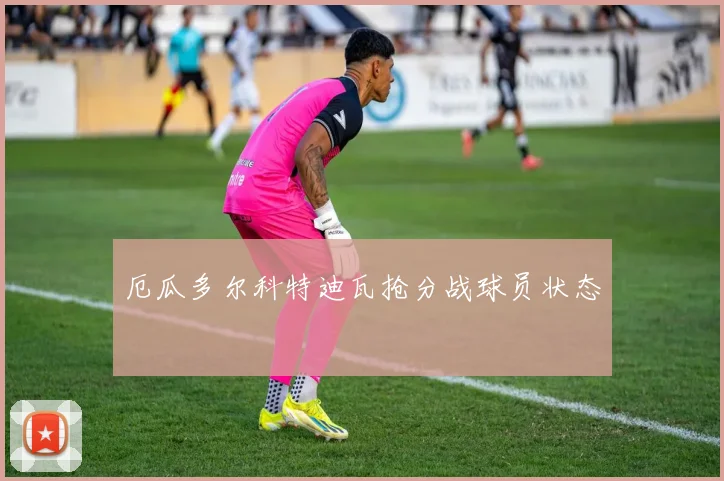厄瓜多尔科特迪瓦抢分战球员状态